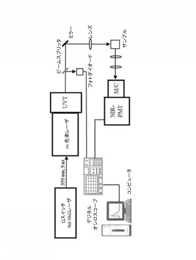 2020509105-抗菌性高分子コーティング組成物および抗菌性高分子フィルム 図000006