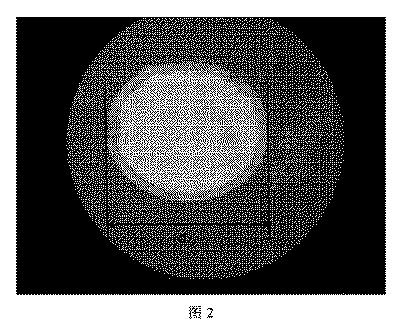 2020531680-機能性複合粒子及びその製造方法 図000006