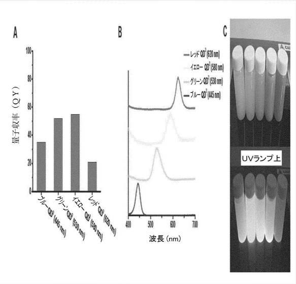 2021508371-多量子ドットに基づく生体分子高感度検出方法 図000006