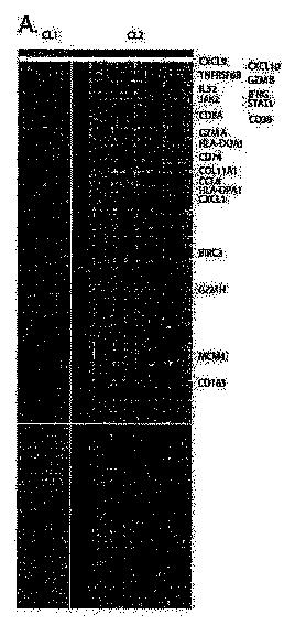 2016516421-局所進行性胃癌に対する予後予測システム 図000007