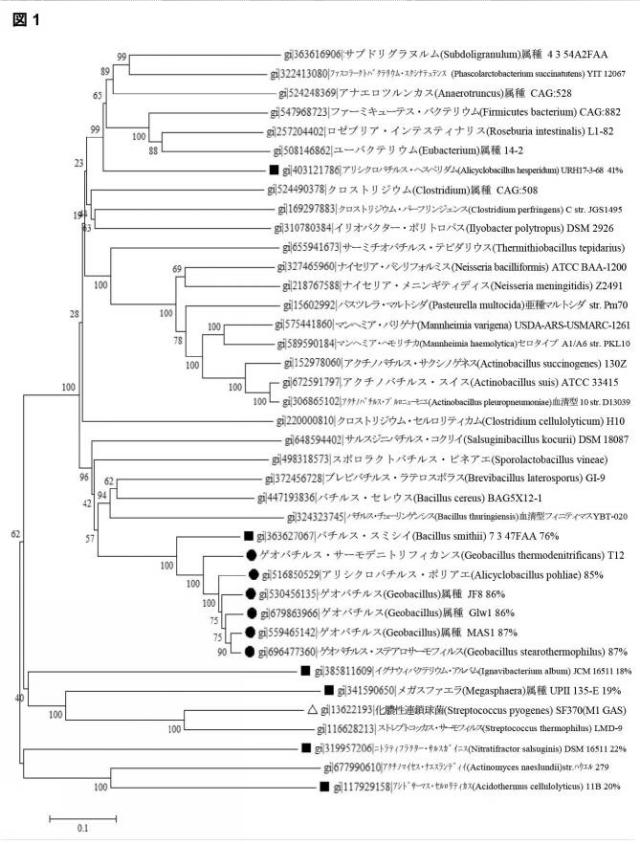 2018522544-熱安定性ＣＡＳ９ヌクレアーゼ 図000007