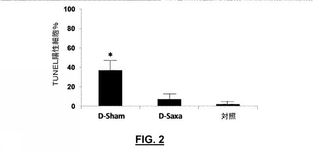 2019519479-網膜神経変性疾患の眼局所治療のためのジペプチジルペプチダーゼ−４阻害剤 図000007