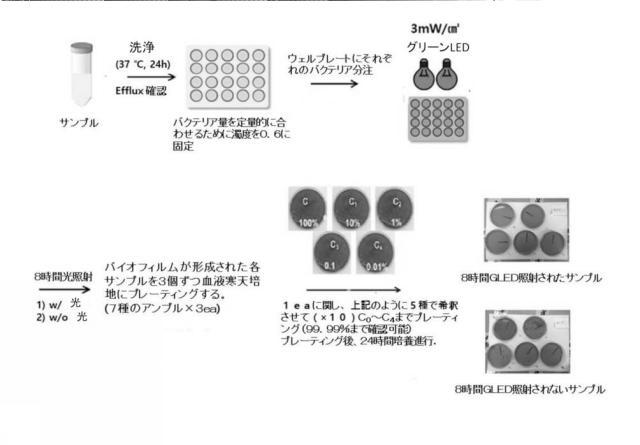 2020509105-抗菌性高分子コーティング組成物および抗菌性高分子フィルム 図000007