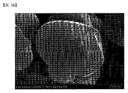 2020520539-リチウム二次電池用正極活物質およびその製造方法 図000007