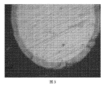 2020531680-機能性複合粒子及びその製造方法 図000007