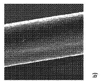 2021529154-損傷したケラチンの治療および／または予防のための方法 図000007