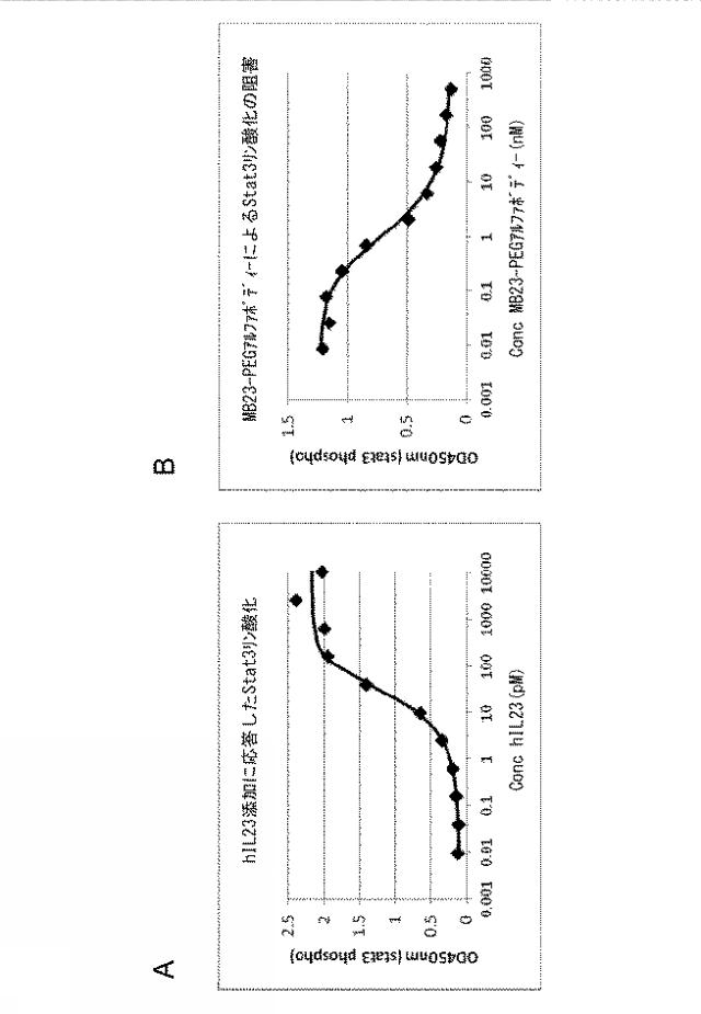 2016506361-ＩＬ−２３に特異的に結合するポリペプチド 図000008