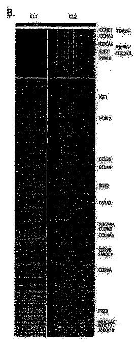 2016516421-局所進行性胃癌に対する予後予測システム 図000008