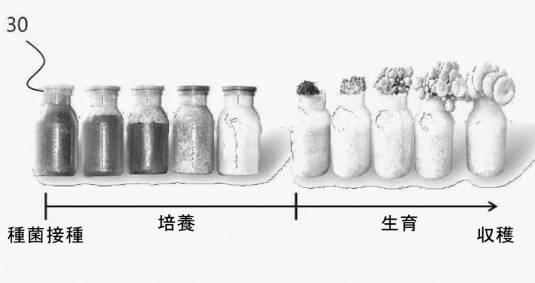 2019505189-売り場連係型の都市垂直農場システム 図000008