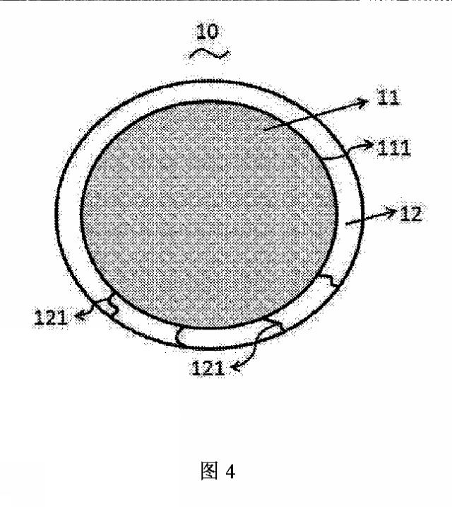 2020531680-機能性複合粒子及びその製造方法 図000008