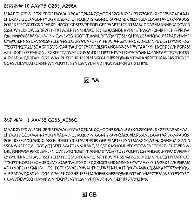 2021522827-アデノ随伴ウイルスの肝臓特異的向性 図000008