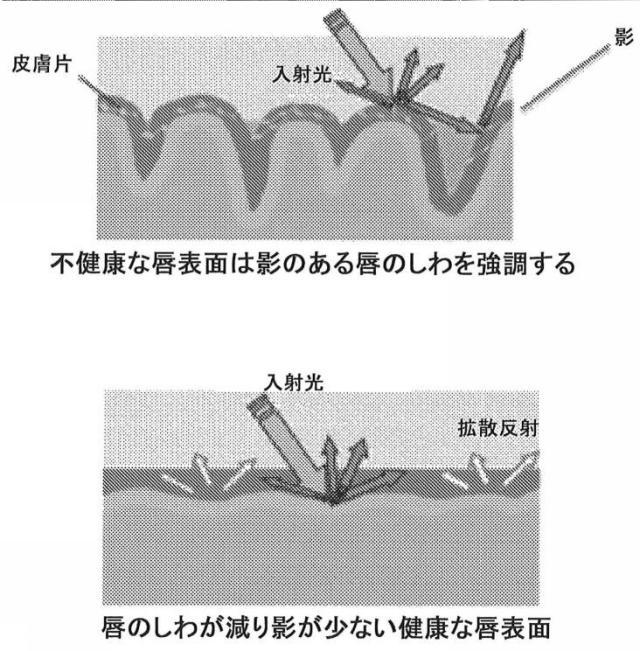2021527079-酸性作用物質を有する安定化されたエマルション 図000008