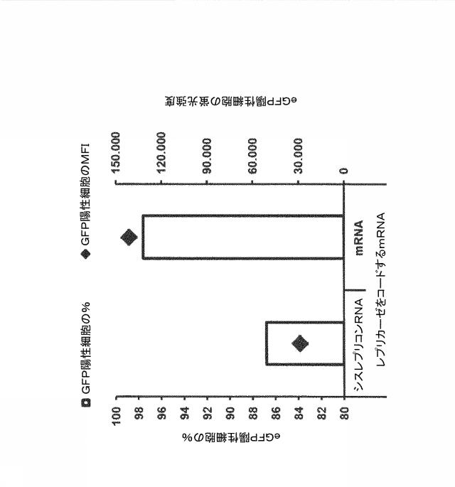 2019509048-トランス複製型ＲＮＡ 図000009