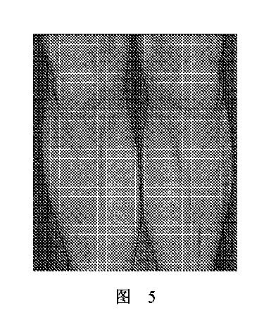 2020506452-ＨＭＤＳに基づく医学画像形成装置 図000009