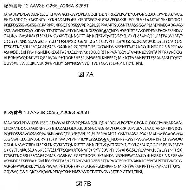 2021522827-アデノ随伴ウイルスの肝臓特異的向性 図000009