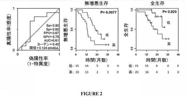 2021528963-高悪性度漿液性卵巣癌の治療的治癒についてのｍｉＲＮＡの予測的及び予後的使用 図000009