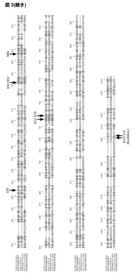 2018522544-熱安定性ＣＡＳ９ヌクレアーゼ 図000010