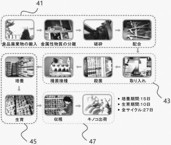 2019505189-売り場連係型の都市垂直農場システム 図000010