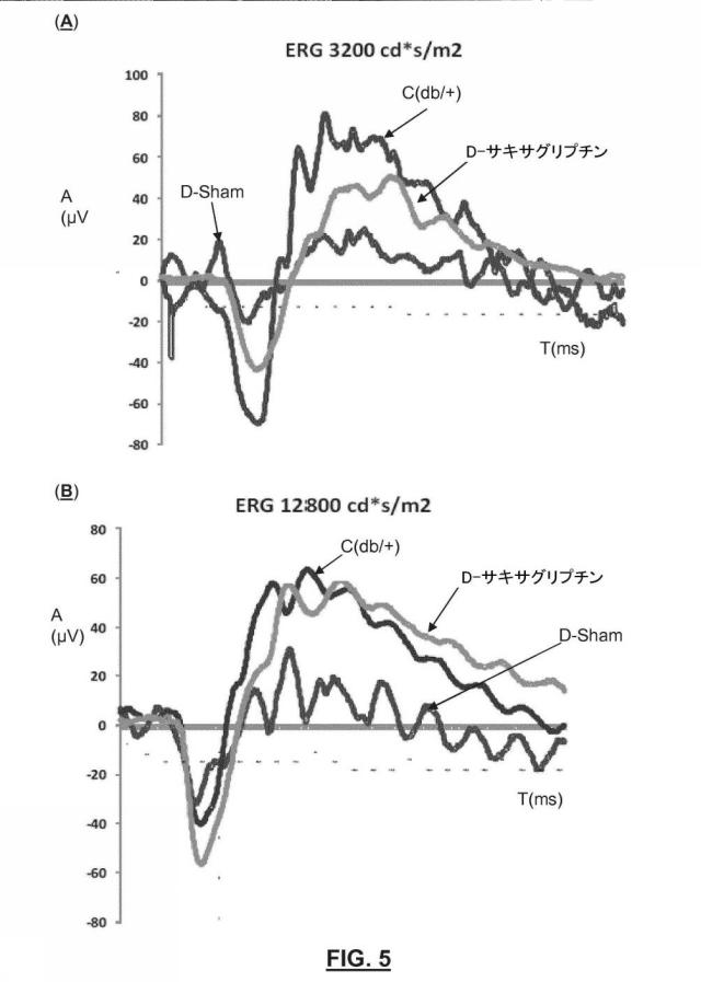 2019519479-網膜神経変性疾患の眼局所治療のためのジペプチジルペプチダーゼ−４阻害剤 図000010