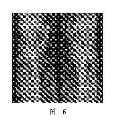 2020506452-ＨＭＤＳに基づく医学画像形成装置 図000010