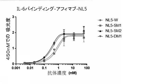 2020517275-タンパク質の純度及び抗原に対する親和性が向上したポリペプチド、その抗体または抗原結合断片との複合体、及びこれらの製造方法 図000010