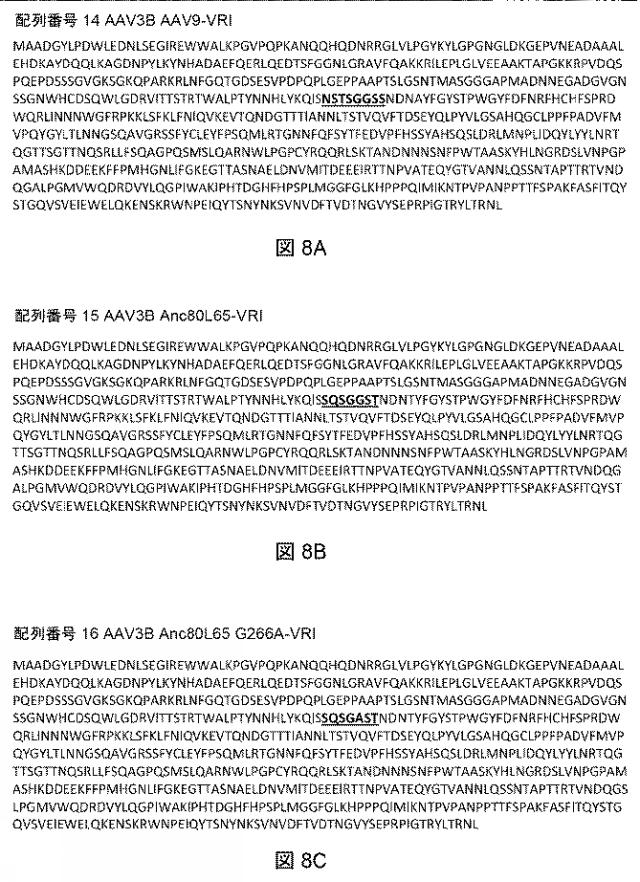 2021522827-アデノ随伴ウイルスの肝臓特異的向性 図000010