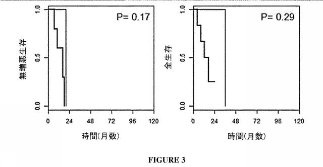 2021528963-高悪性度漿液性卵巣癌の治療的治癒についてのｍｉＲＮＡの予測的及び予後的使用 図000010