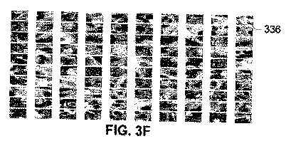 2017516992-画像内の生物学的構造及び／又はパターンの検出のためのシステム及び方法 図000011