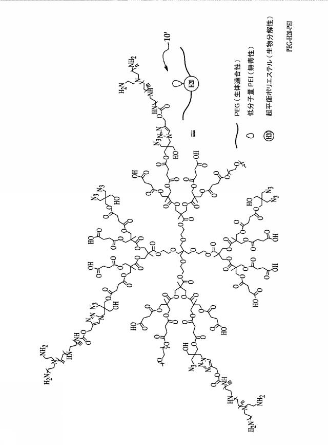 2018517005-超分岐重合体及びポリプレックス、並びにこれらを含むＤＮＡ又はＲＮＡ送達システム 図000011