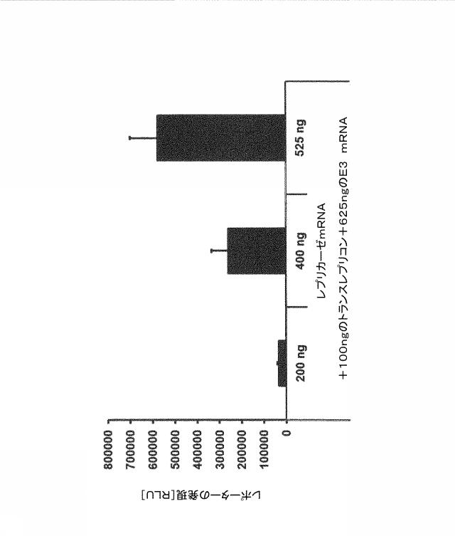 2019509048-トランス複製型ＲＮＡ 図000011