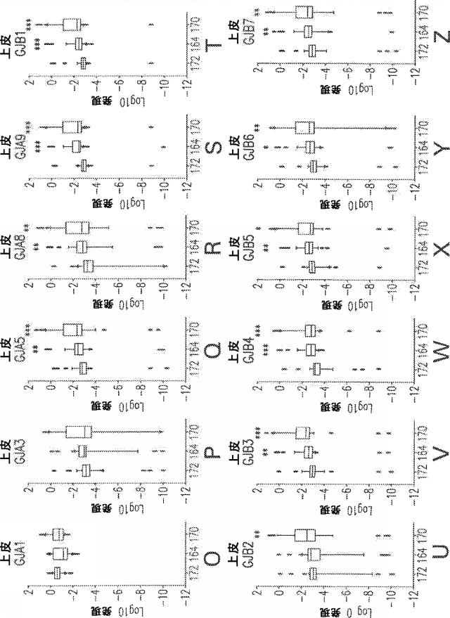 2021521803-子宮内膜症の治療のための組成物および方法 図000011