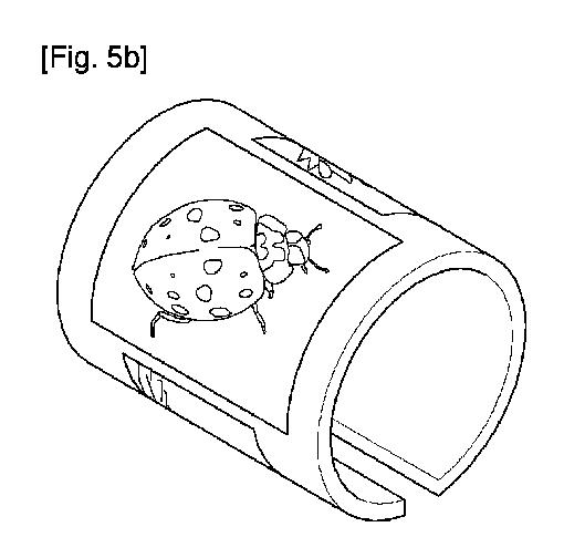 2015510158-ベンディング可能なディスプレイ装置及びそのディスプレイ方法 図000012