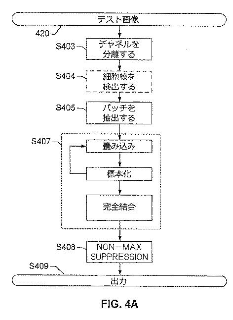 2017516992-画像内の生物学的構造及び／又はパターンの検出のためのシステム及び方法 図000012