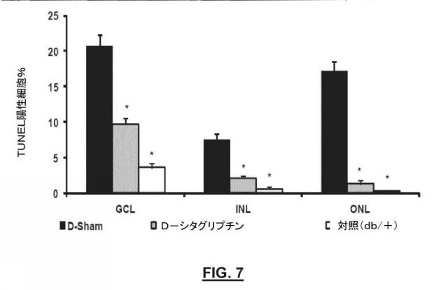 2019519479-網膜神経変性疾患の眼局所治療のためのジペプチジルペプチダーゼ−４阻害剤 図000012