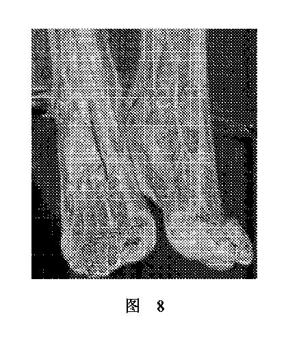 2020506452-ＨＭＤＳに基づく医学画像形成装置 図000012