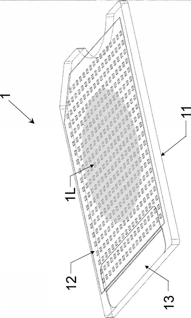 2020508446-テクスチャ表面を用いたアッセイ 図000012