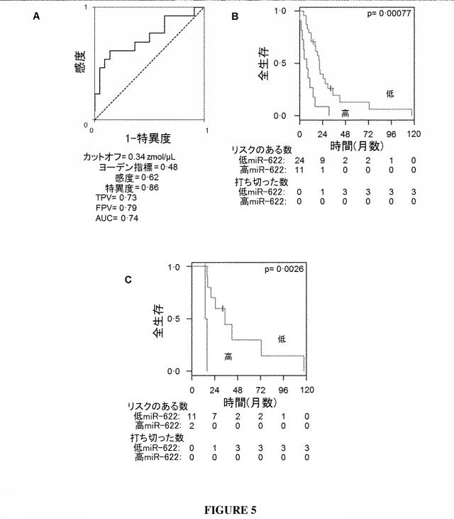 2021528963-高悪性度漿液性卵巣癌の治療的治癒についてのｍｉＲＮＡの予測的及び予後的使用 図000012