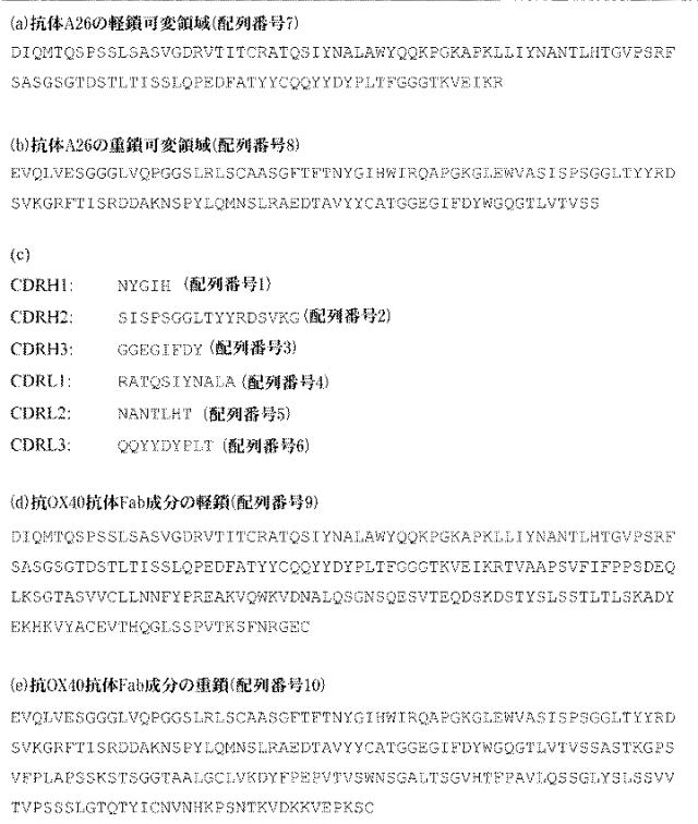 2015506910-ヒトＯＸ４０に対する特異性を有する抗体分子 図000013