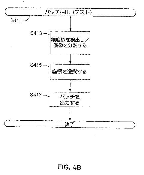 2017516992-画像内の生物学的構造及び／又はパターンの検出のためのシステム及び方法 図000013