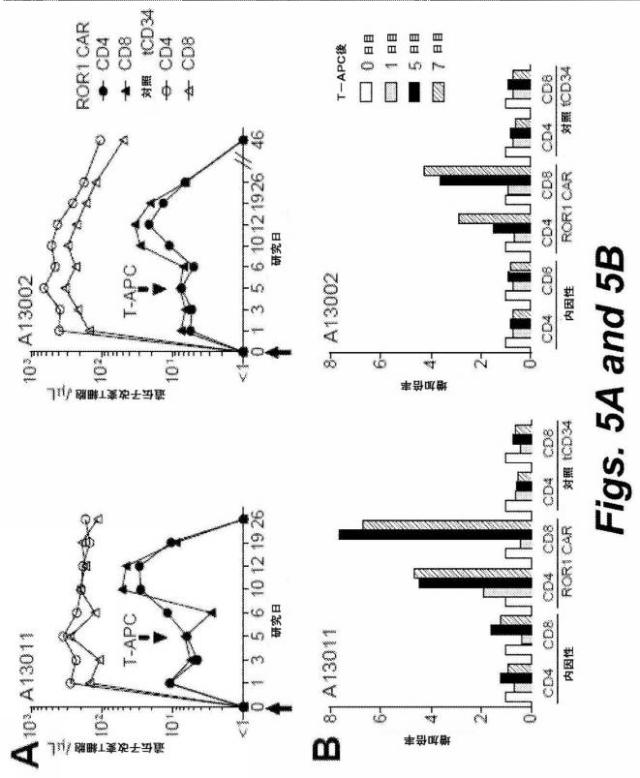 2017531687-養子細胞免疫療法の有効性を増強させるための組成物および方法 図000013