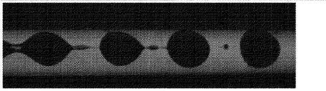 2017537776-液滴及び他の区画内での活性物質のカプセル化のためのシステム 図000013