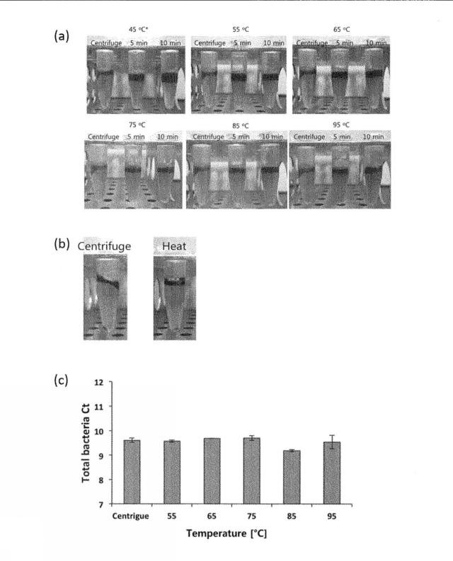 2019505235-生物学的試料からの核酸抽出方法 図000013