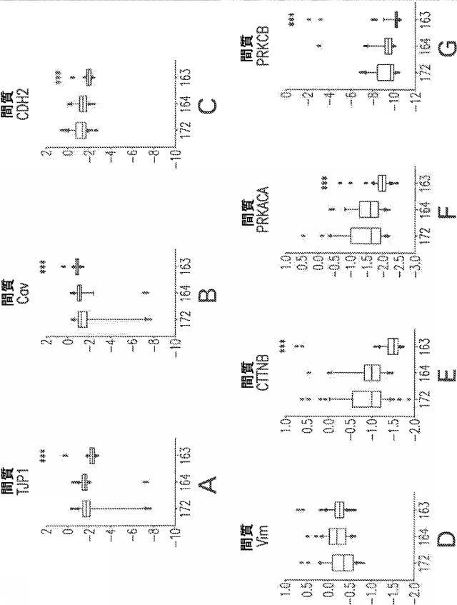 2021521803-子宮内膜症の治療のための組成物および方法 図000013