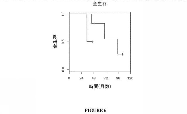 2021528963-高悪性度漿液性卵巣癌の治療的治癒についてのｍｉＲＮＡの予測的及び予後的使用 図000013