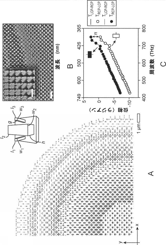 2022502715-異方性ナノ構造を備えた、広帯域、無彩色、かつ偏光非感受性のメタレンズ 図000013