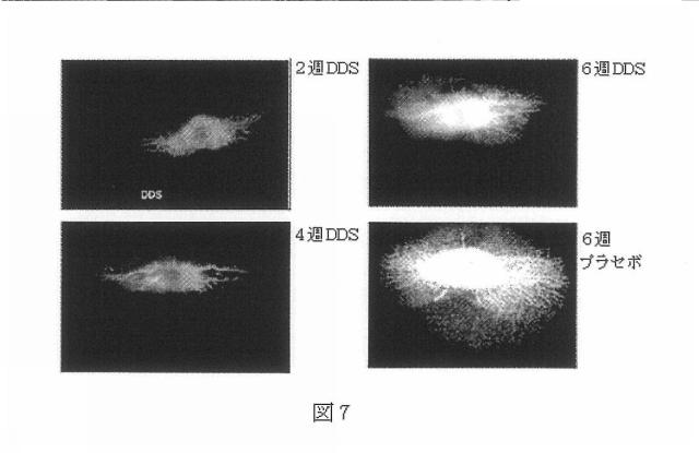 2015532284-タンパク質徐放用の生物分解性ドラッグデリバリーシステム 図000014