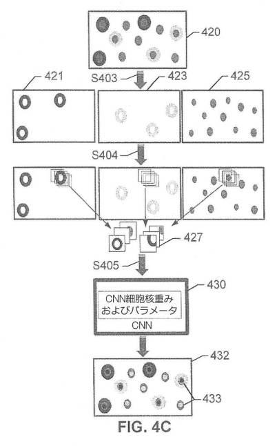 2017516992-画像内の生物学的構造及び／又はパターンの検出のためのシステム及び方法 図000014