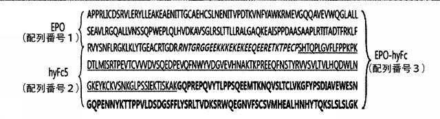 2018502862-持続型ＥＰＯ製剤を用いた貧血治療方法 図000014