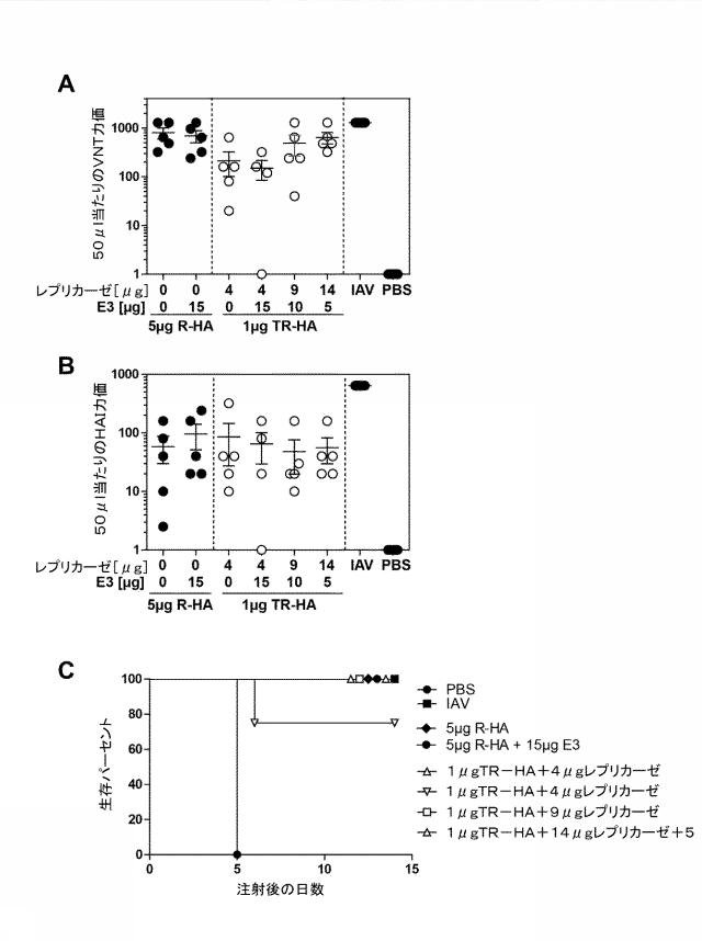 2019509048-トランス複製型ＲＮＡ 図000014