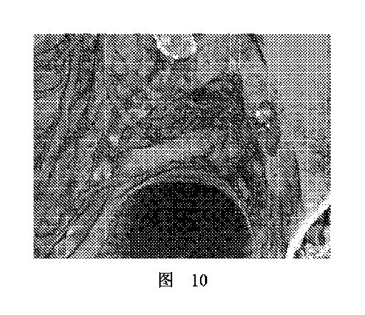 2020506452-ＨＭＤＳに基づく医学画像形成装置 図000014